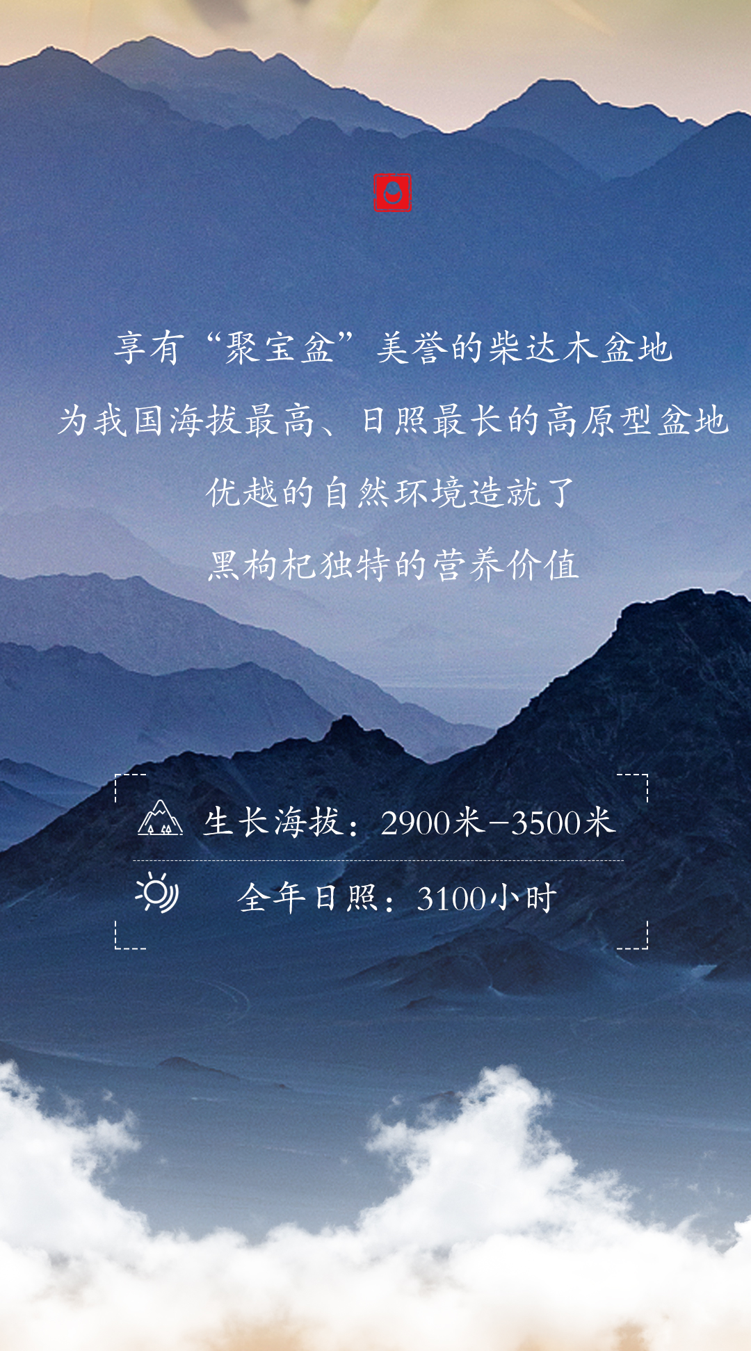 黑果枸杞_03(1).jpg 黑果枸杞_03(1).jpg